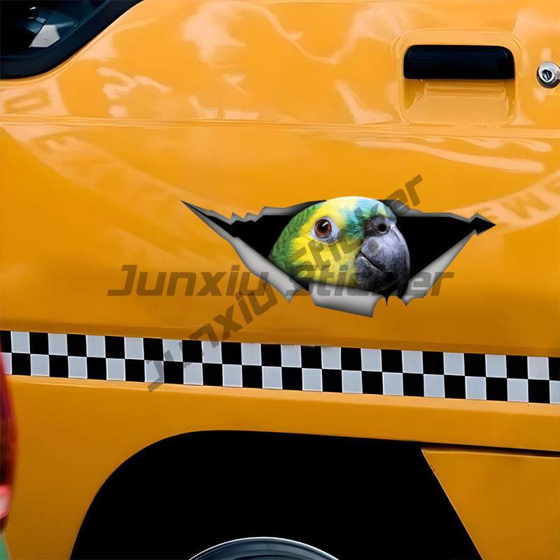 Blue Fronted Amazon Parrot Car - Car Accessories Amazon ulasan dan harga