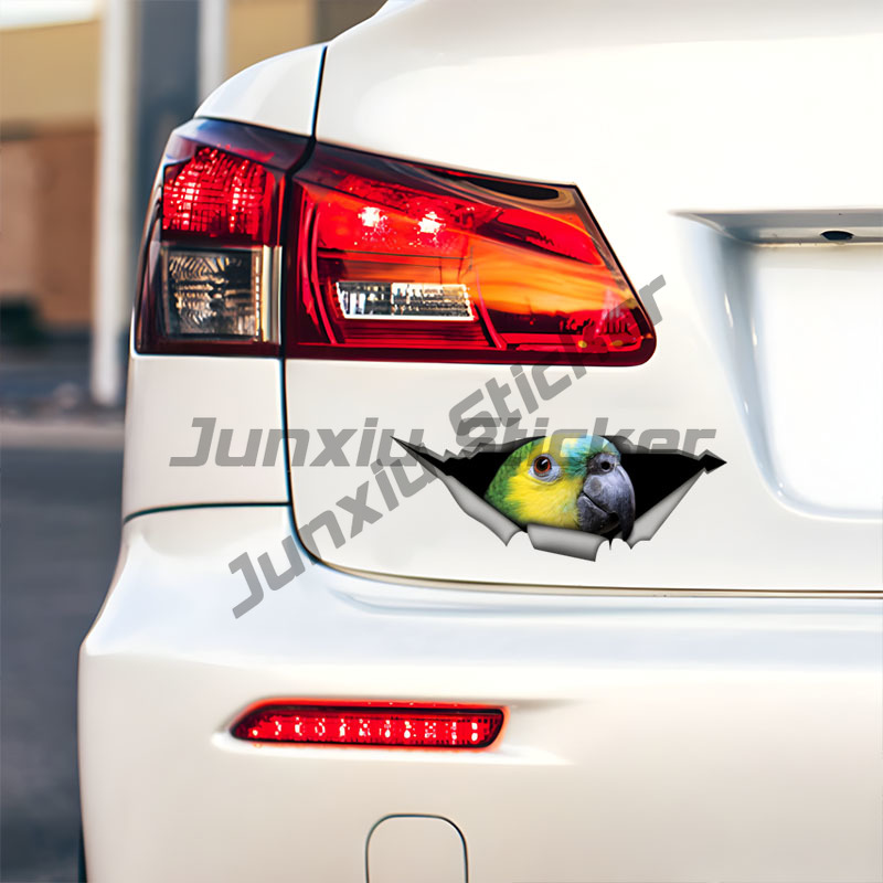 Blue Fronted Amazon Parrot Car - Car Accessories Amazon ulasan dan harga