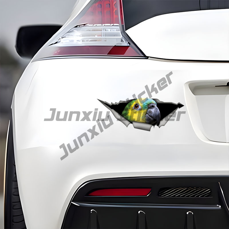 Blue Fronted Amazon Parrot Car - Car Accessories Amazon ulasan dan harga